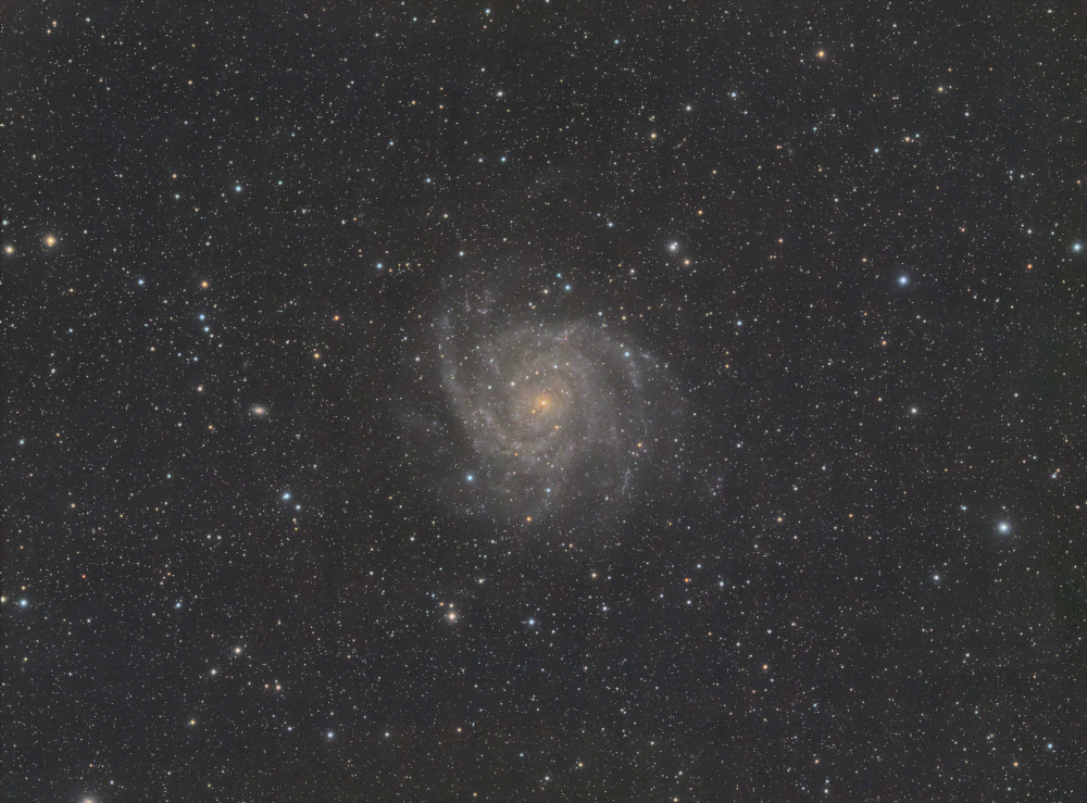 IC342 Жираф Hidden galaxy