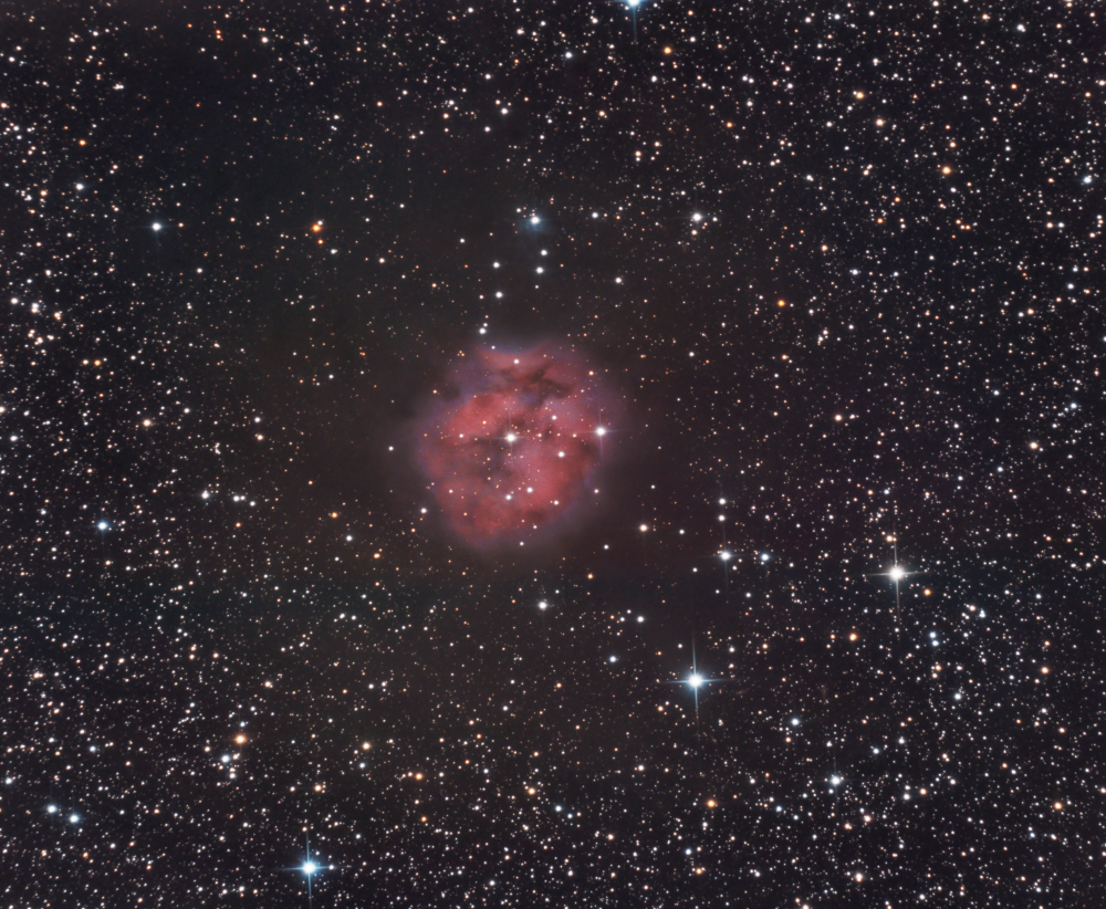 IC 5146 Cocoon Nebula - астрофотография