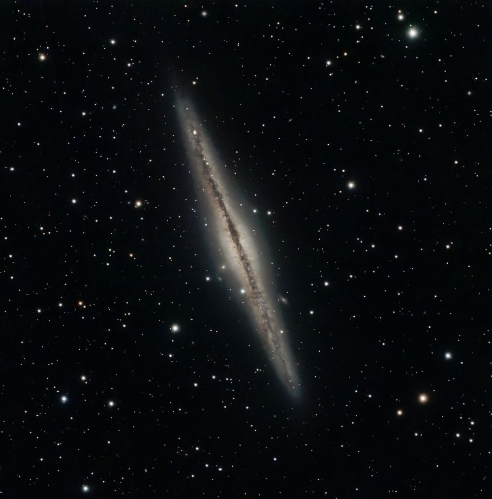 NGC891