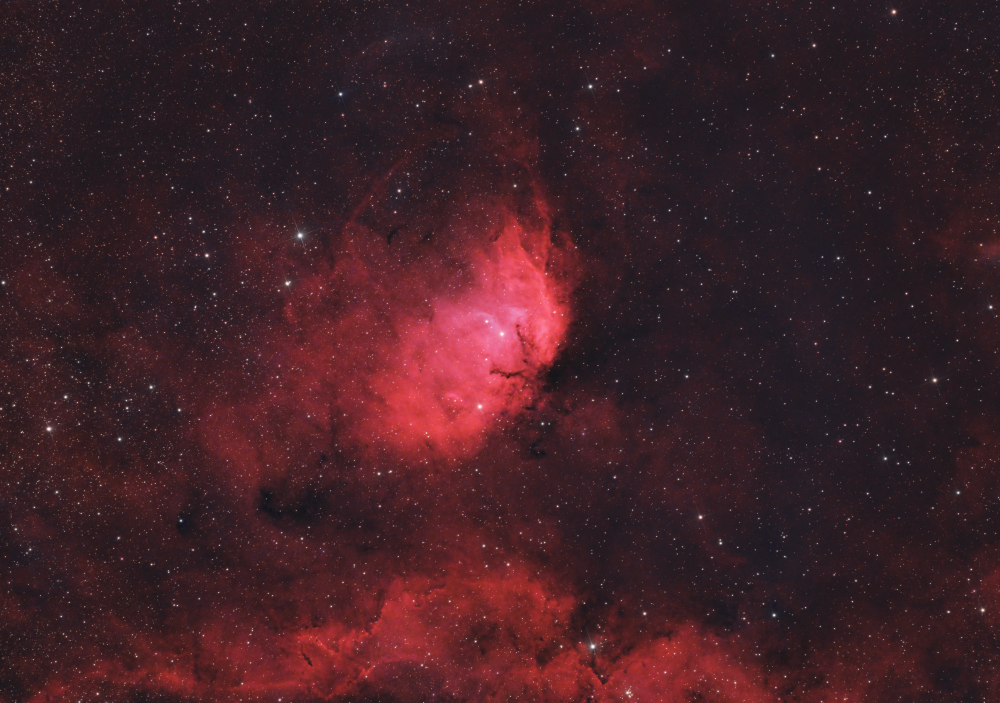 Tulip Nebula (SH2-101)