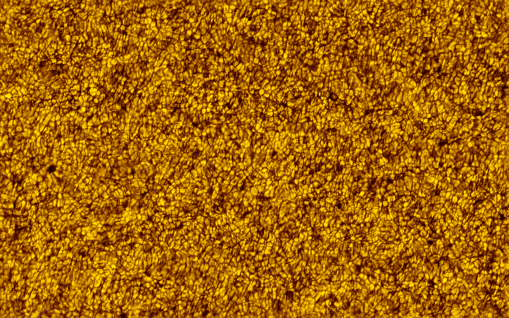 2019.08.24 Sun granulation color (astrosolar)