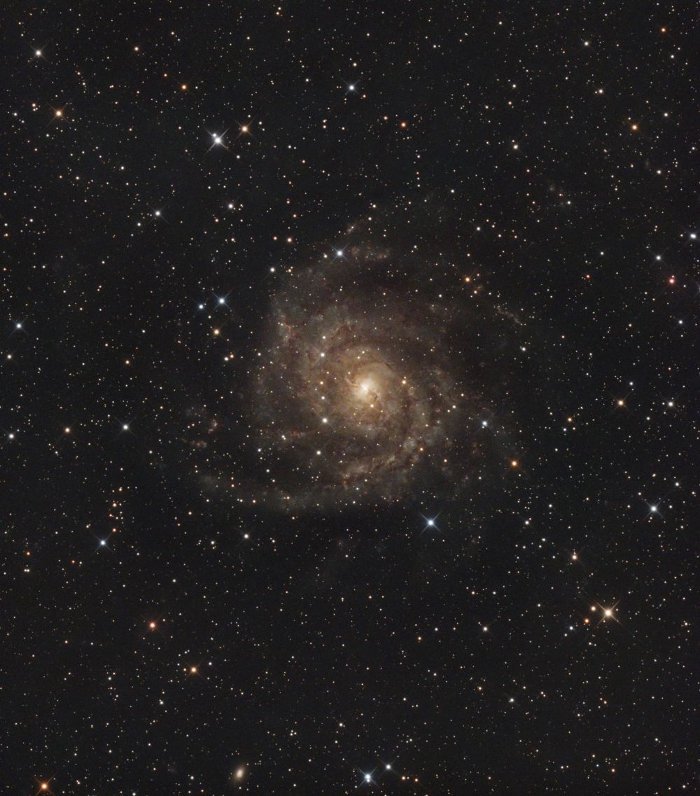 IC 342 - The Hidden Galaxy