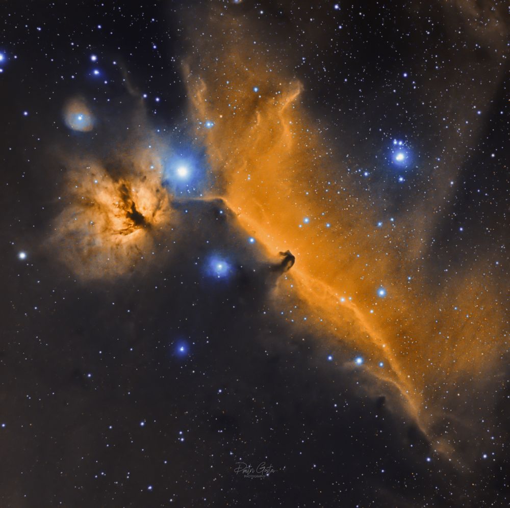 Horsehead & Flame nebulae in SHO palette