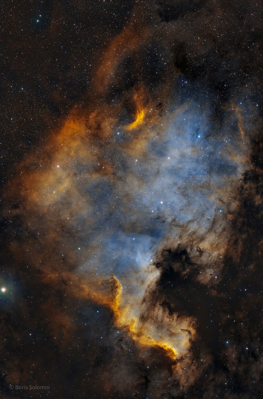 NGC 7000. North America. 