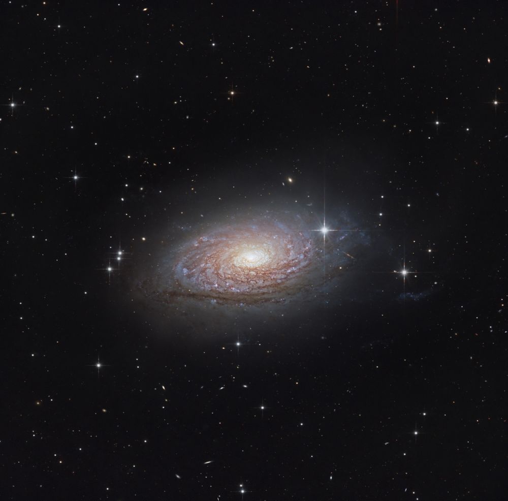 Галактика Подсолнух M63