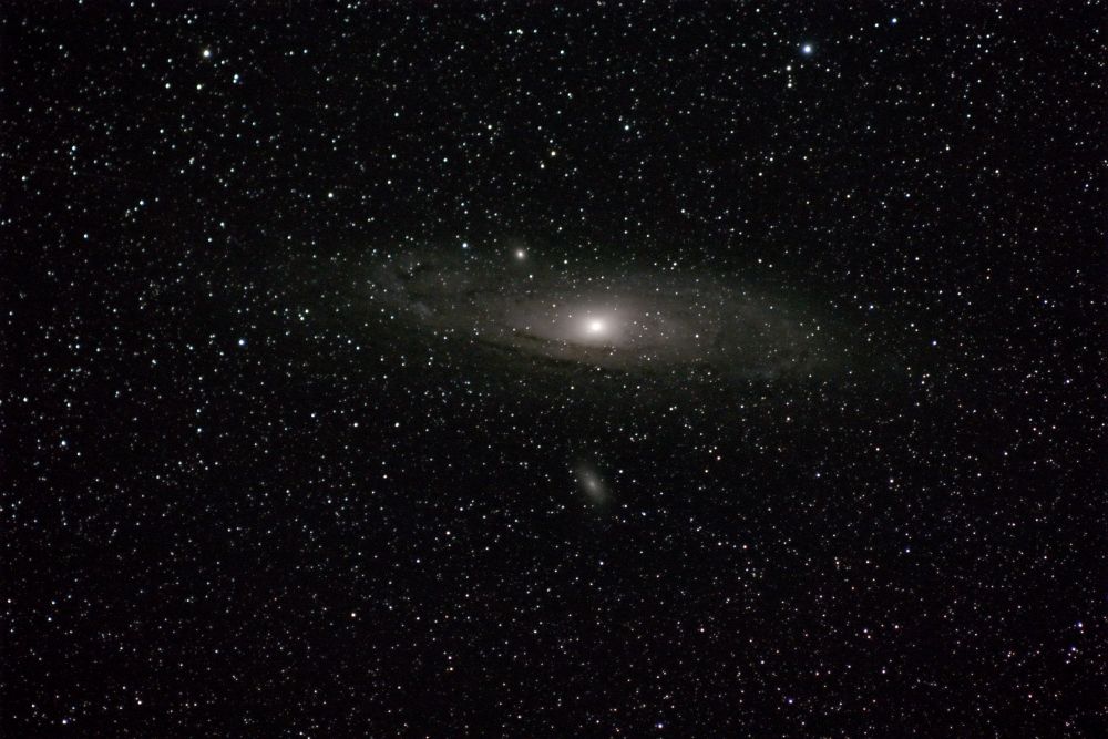 M31