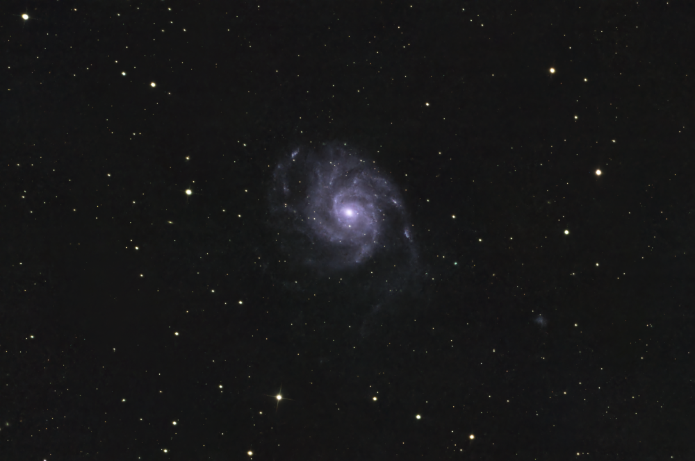 M101