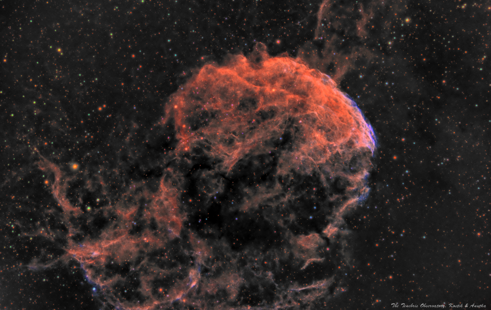 This IC443 Jellyfish nebula looks like a creepy skull