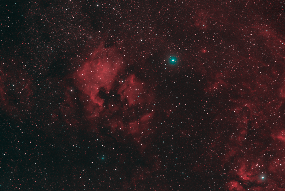 Hydrogen nebulosities at Cygnus