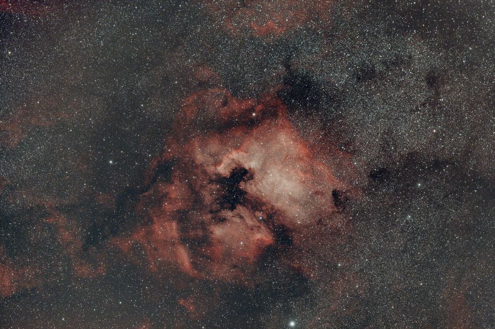 NGC 7000 (Туманность северная америка)