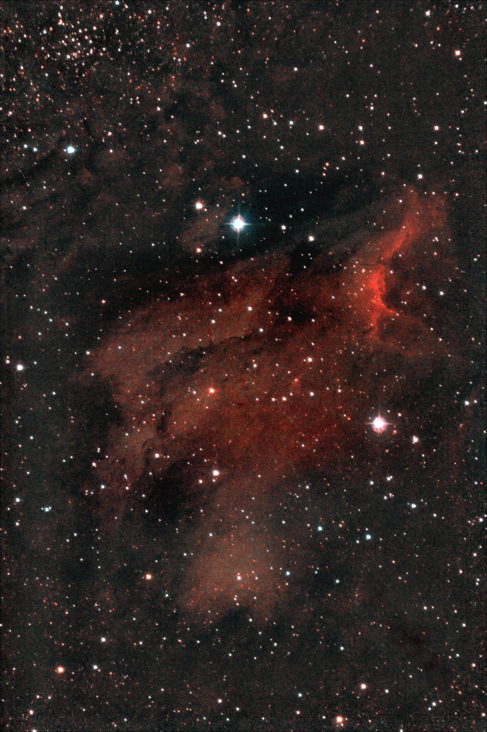 Эмиссионная туманность Пеликан созвездия Лебедя. IC 5070. 12-13.05.2023