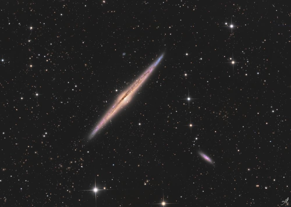 NGC 4565