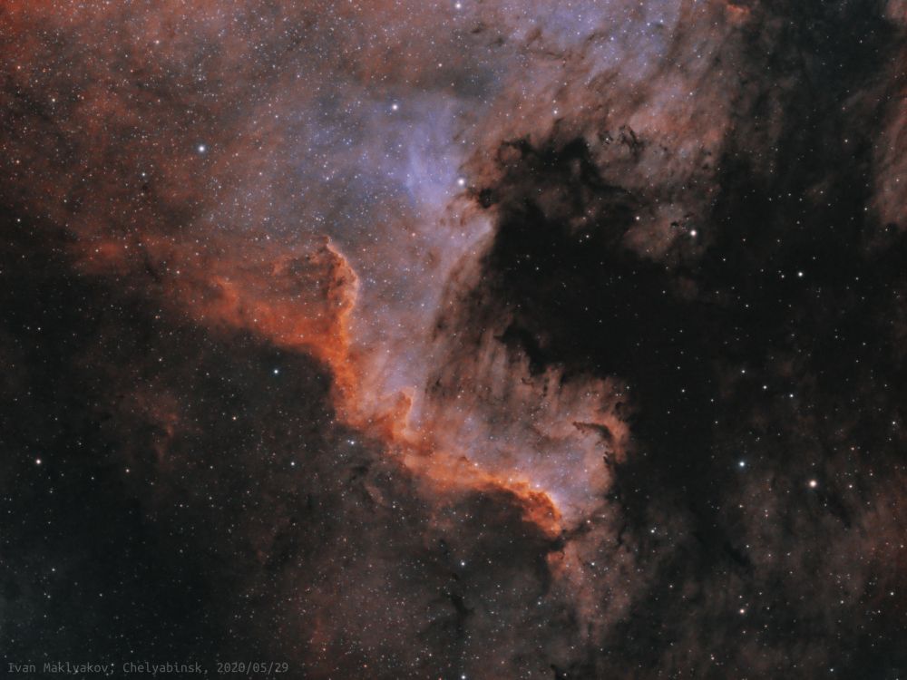 Фрагмент туманности Северная Америка (NGC7000).