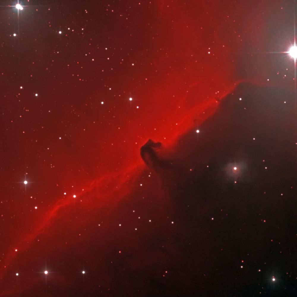 IC 434 (Туманность Конская голова)
