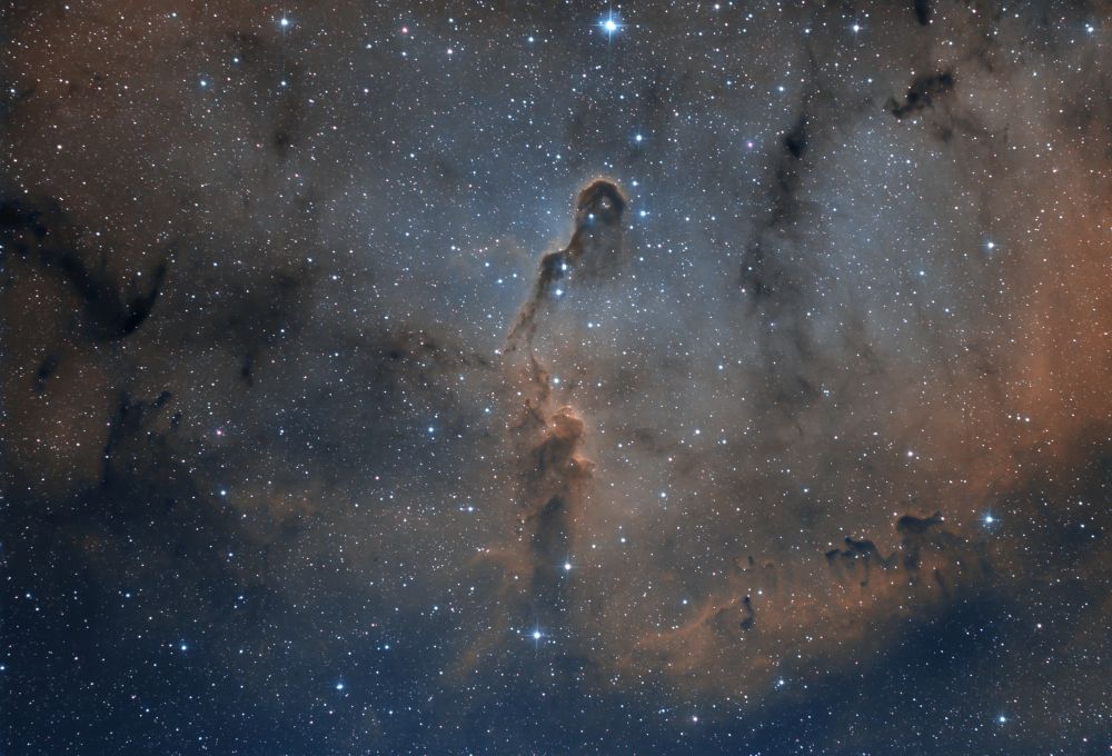 IC1396 "Elephant's Trunk Nebula"