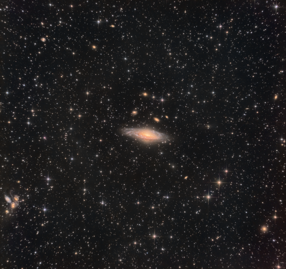 NGC7331