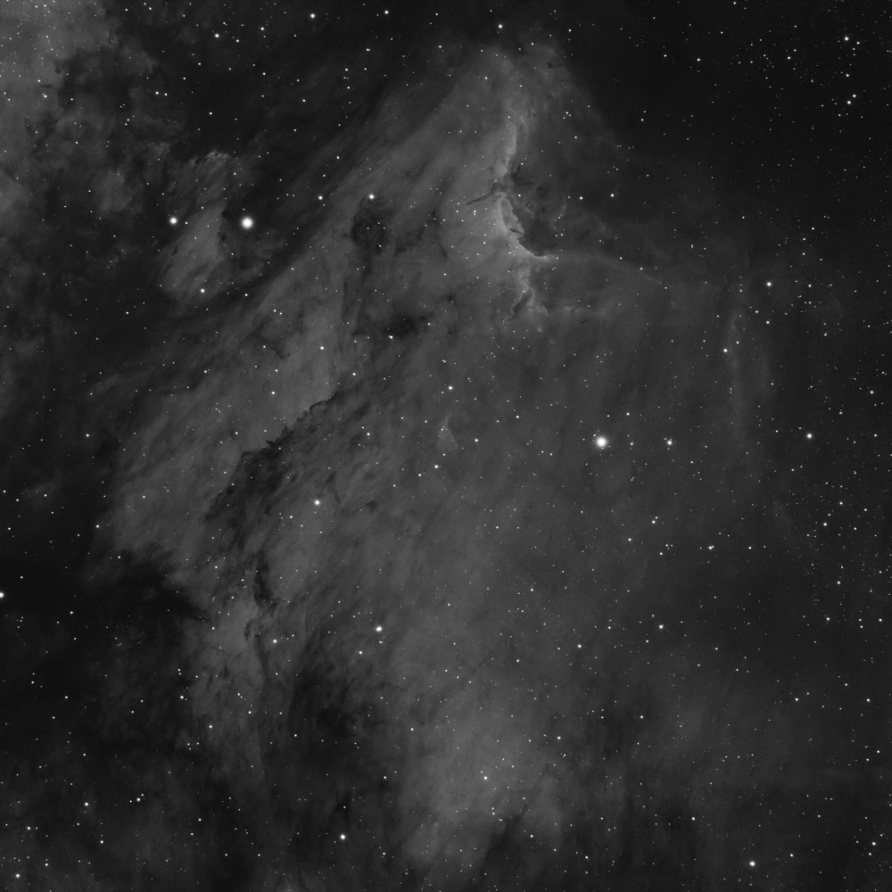 Туманность Пеликан IC 5070 в линии H-Alpha (Первый свет ZWO ASI533MM) - астрофотография