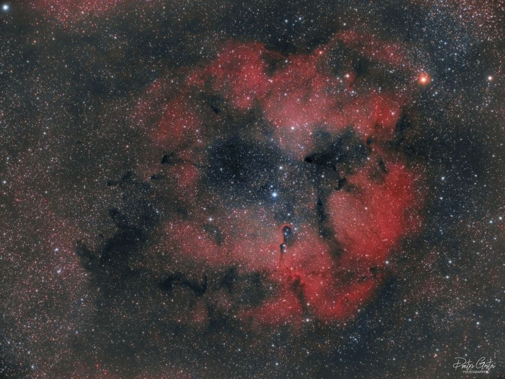 IC1396, Elephant's trunk nebula