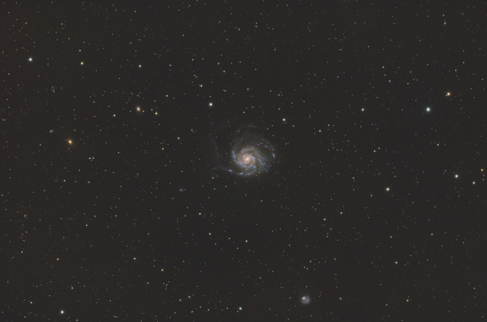 M 101 (The Pinwheel Galaxy)