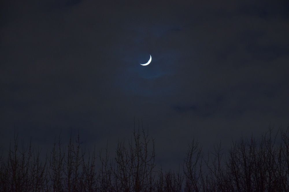 Февральская Луна над парком 04.02.22