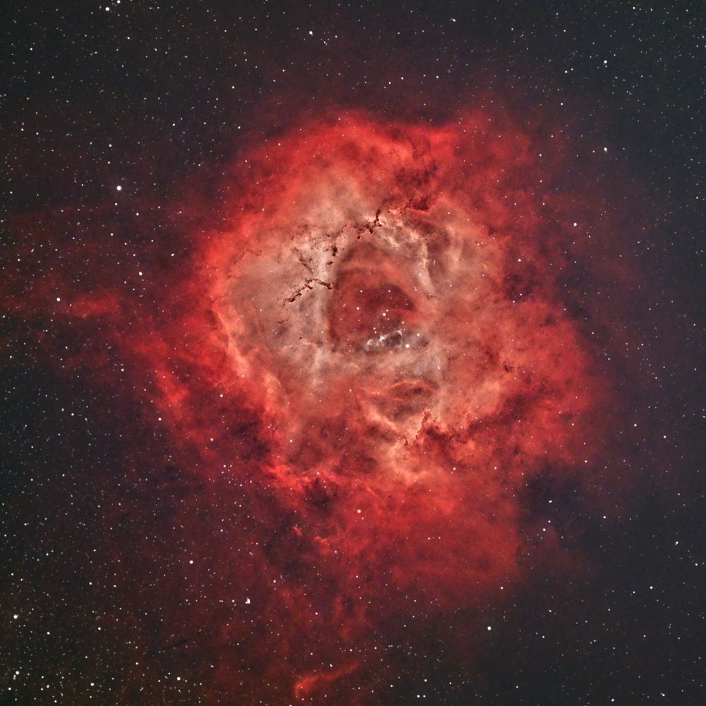 NGC2237 Rosette nebula
