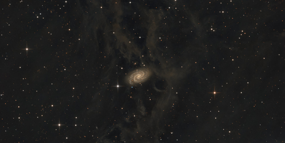 NGC 918