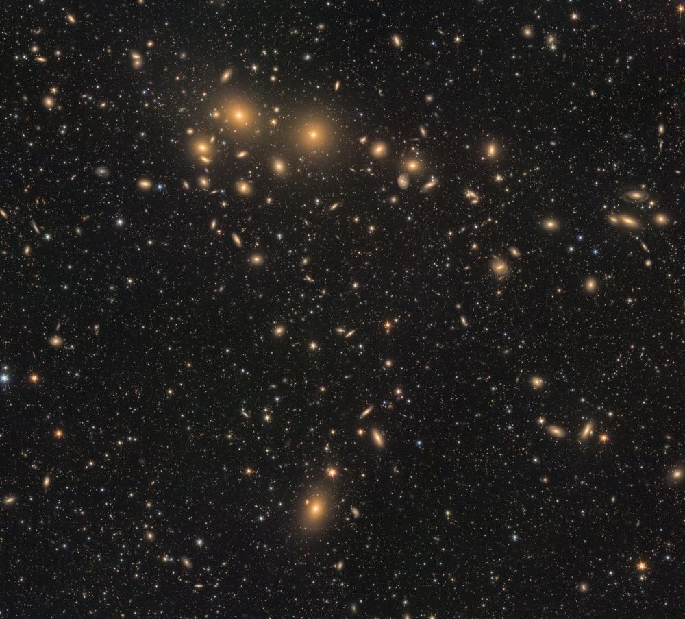 Perseus cluster by Euclid