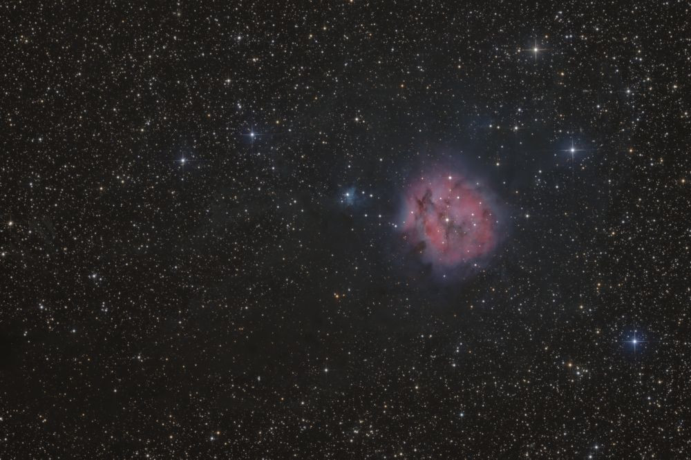 IC5146 "Cocoon"