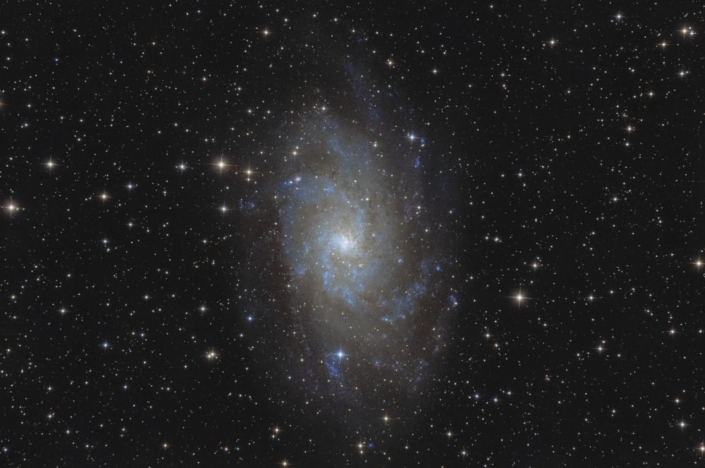 M33