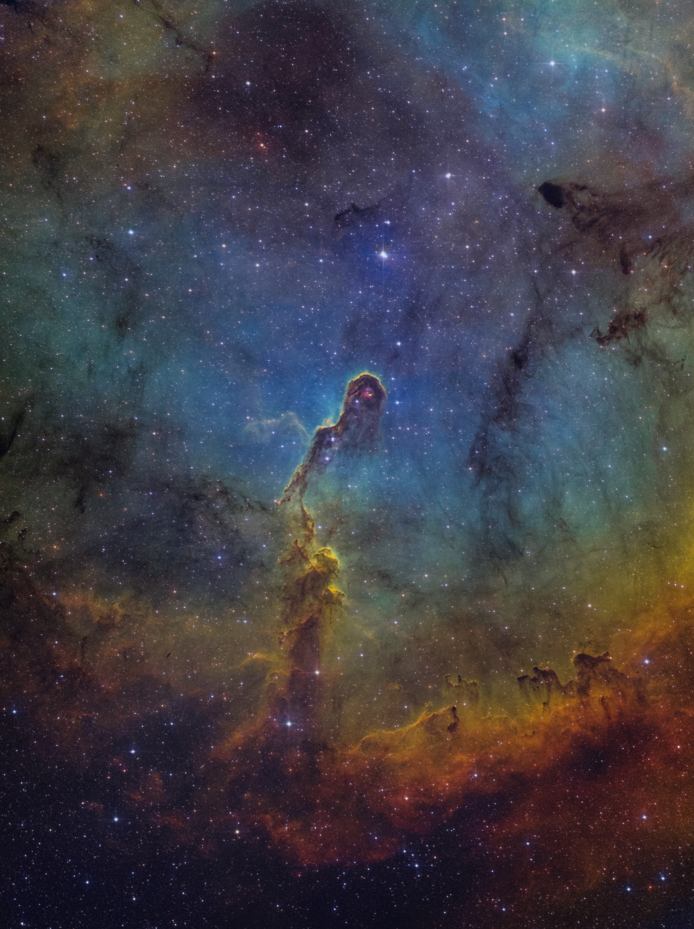 IC 1396 (Elephant's Trunk Nebula)