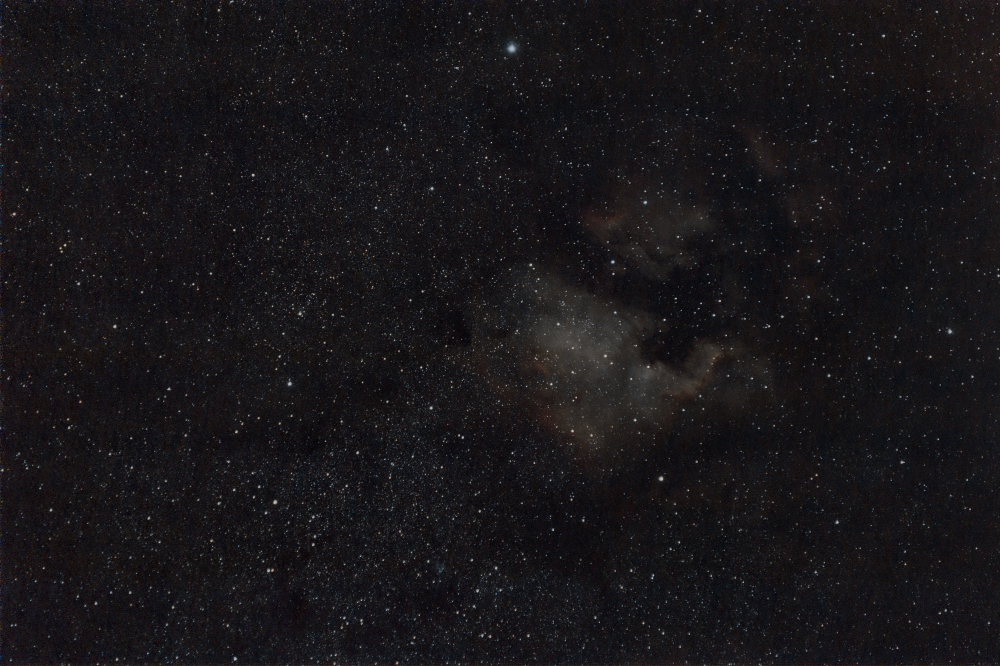 NGC 7000