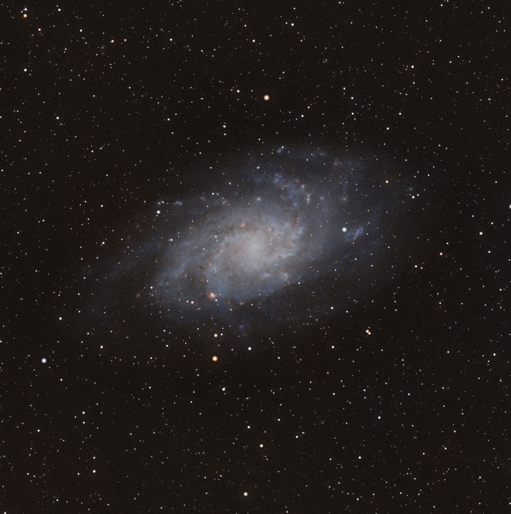 M33