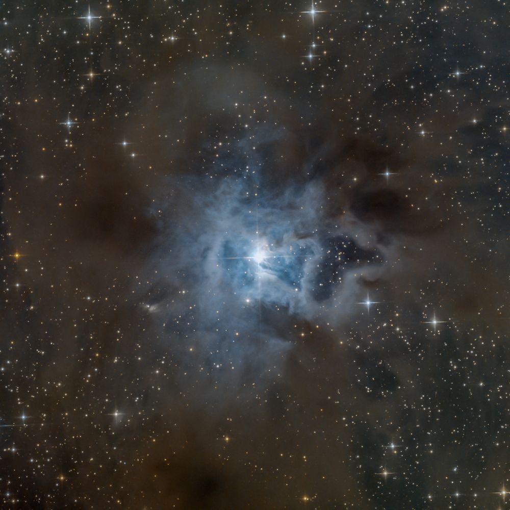 NGC 7023, Iris nebula