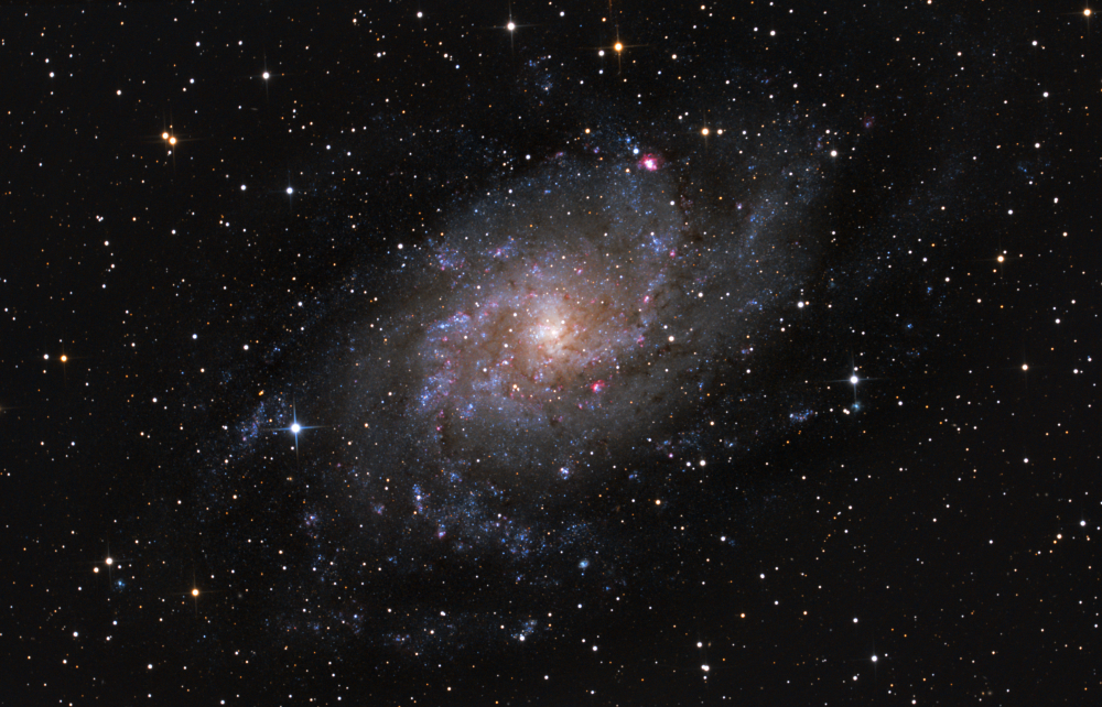 M33