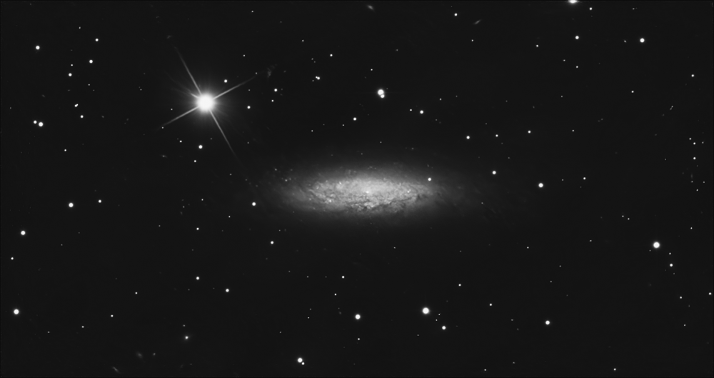 NGC6503