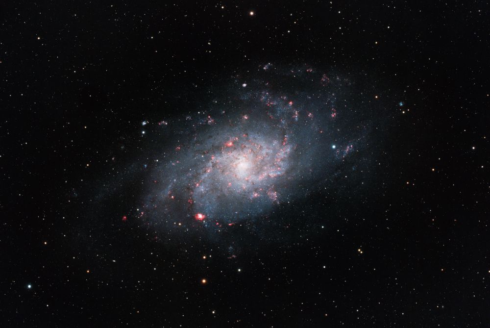 M33