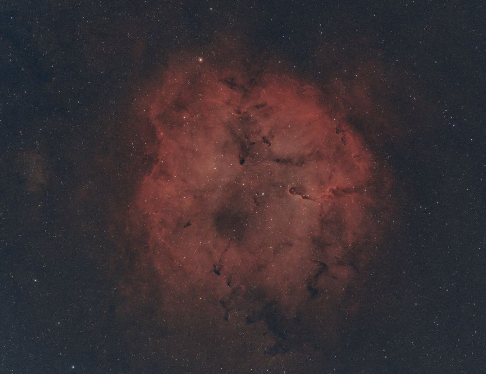 IC 1396 & Mu Cephei, Эракис в Хоботе