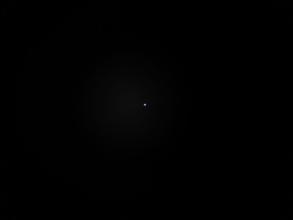 Vega (star)