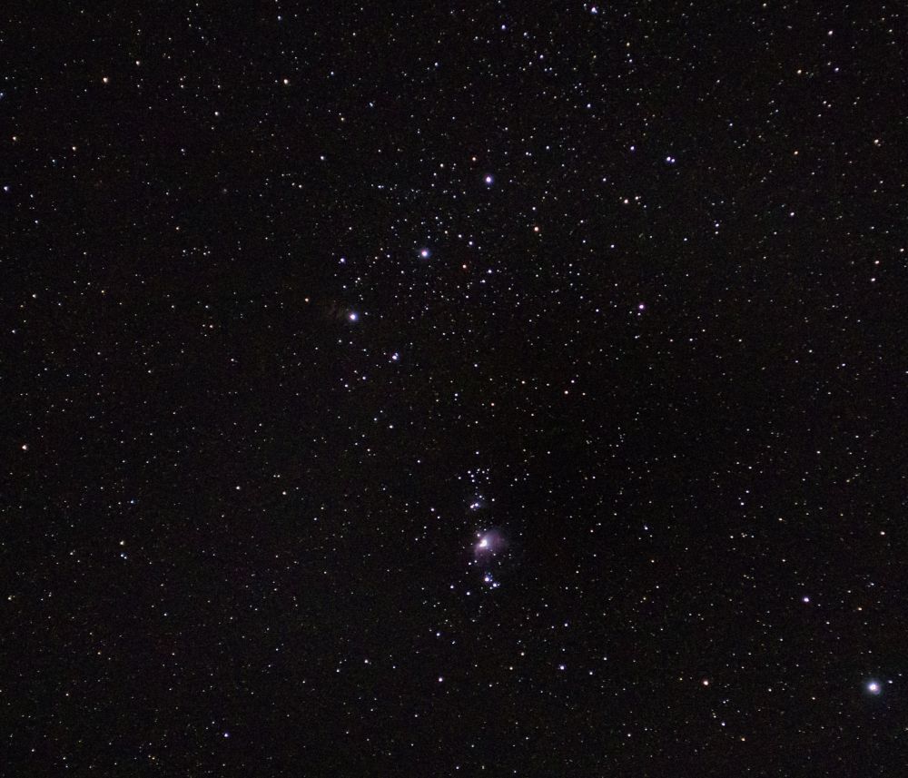 Orion