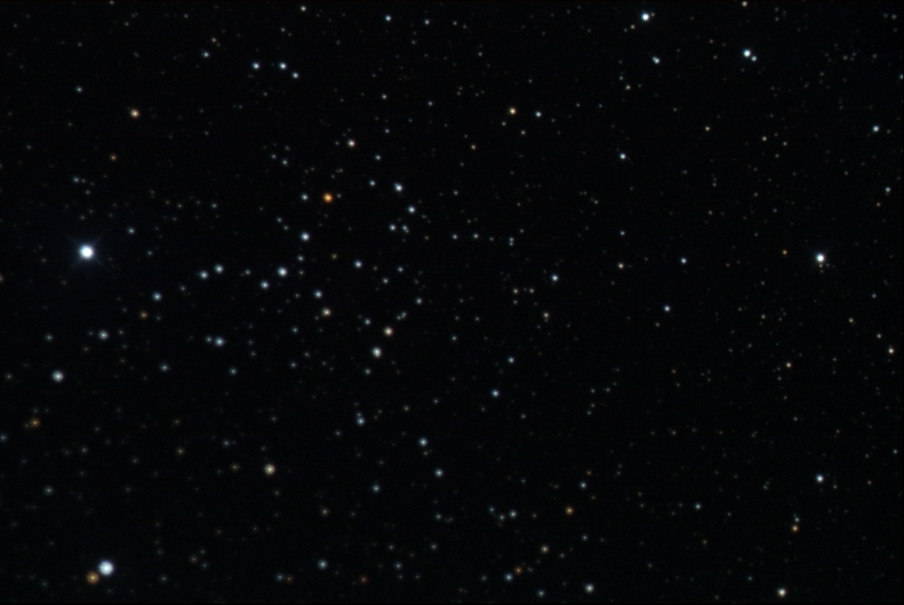 Скопление NGC 1664