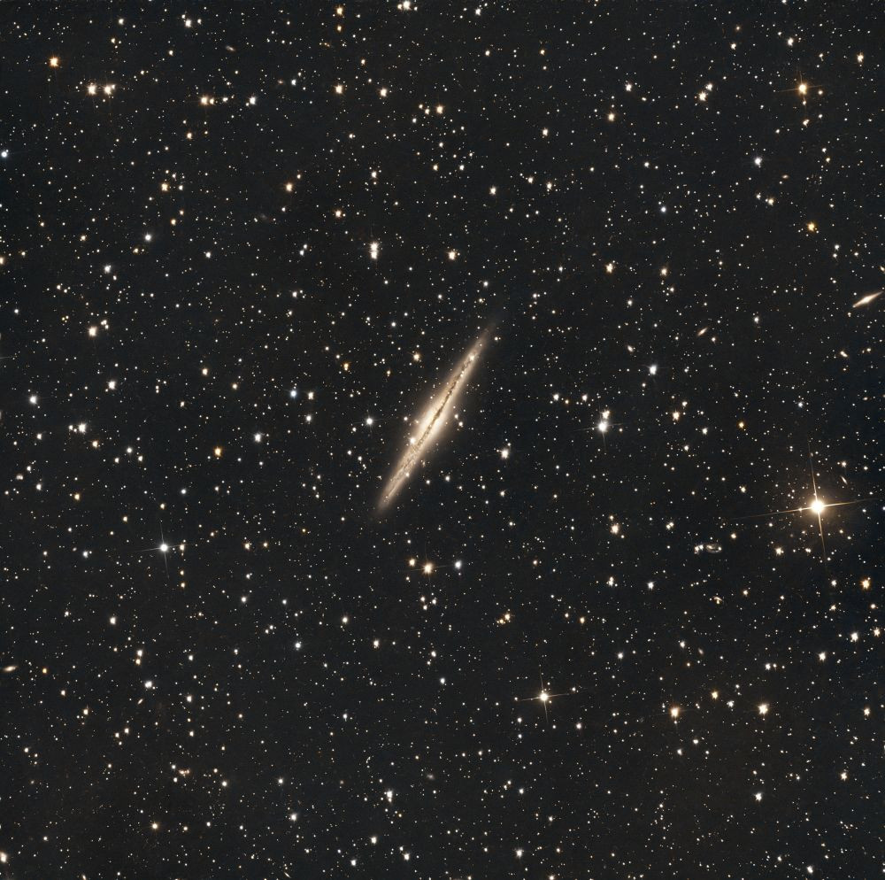 ngc 891