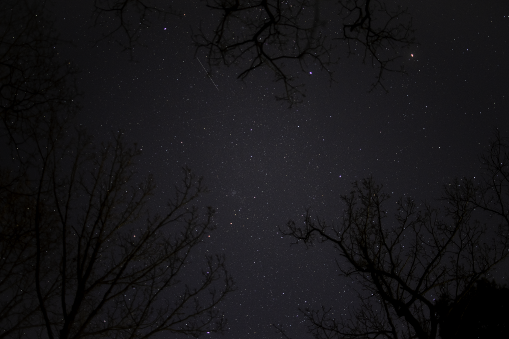 Звёзды над лесом в германии