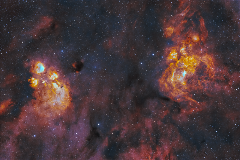 Cat's Paw Nebula and Lobster Nebula
