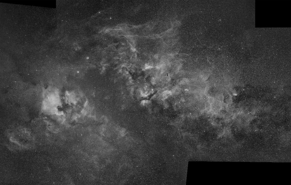 Cygnus hydrogen clouds