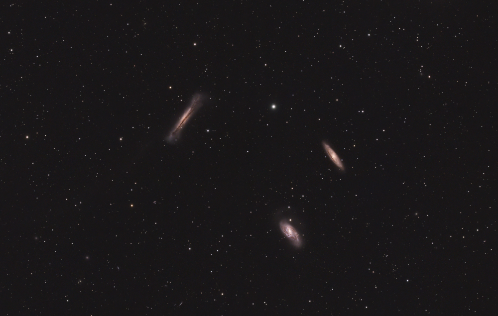 The Leo Triplet | M65, M66, & NGC 3628