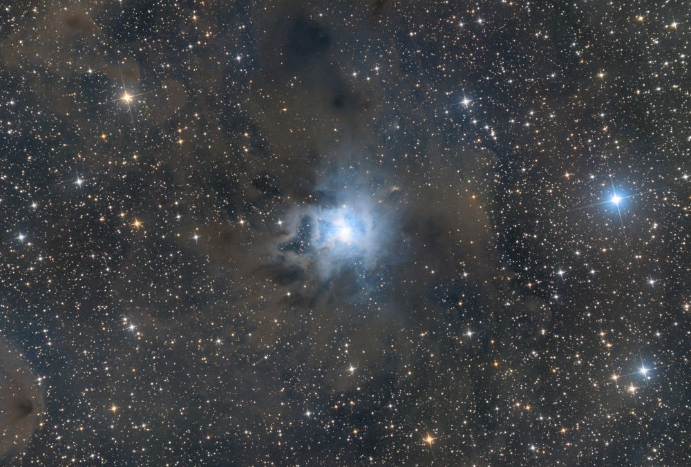 Iris Nebula (NGC7023)