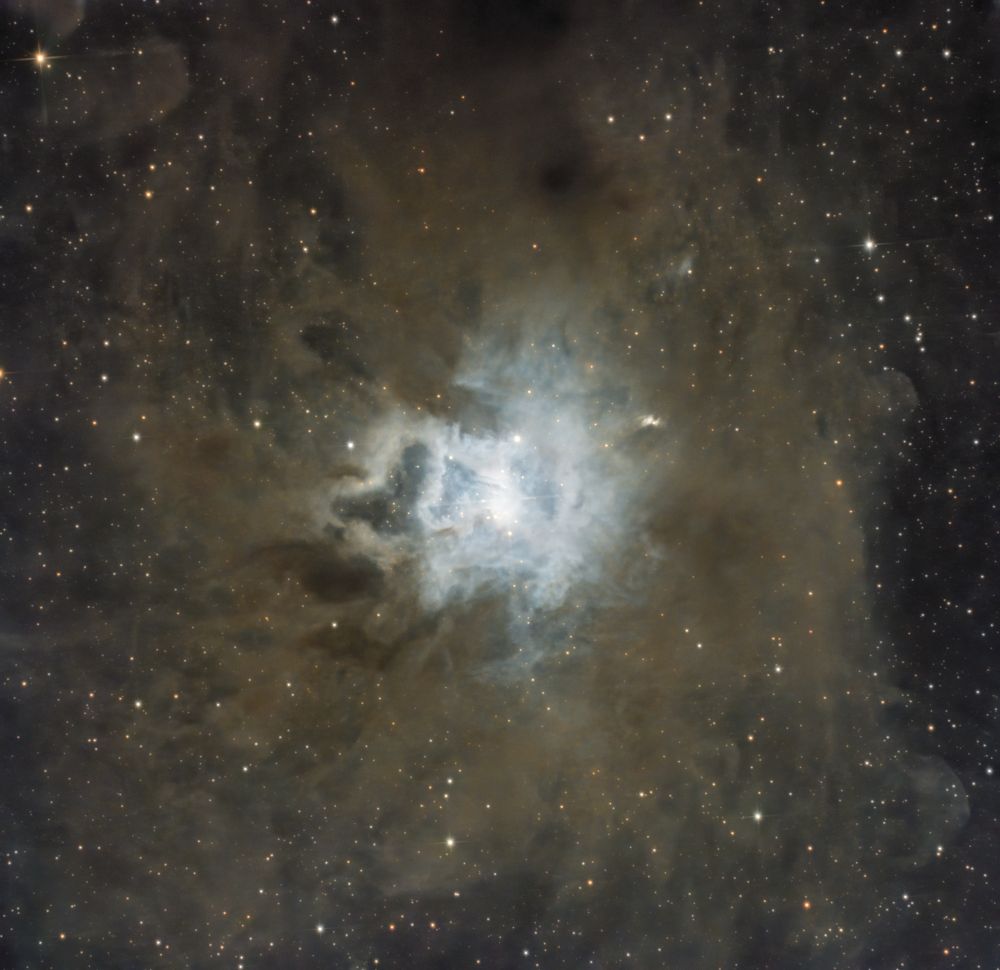 NGC 7023 - Туманность Ирис