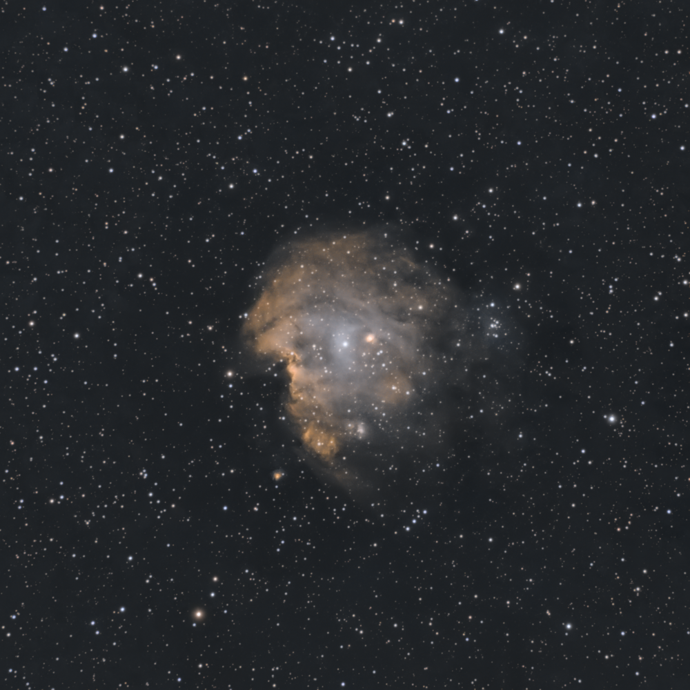 NGC 2175  Monkey Head