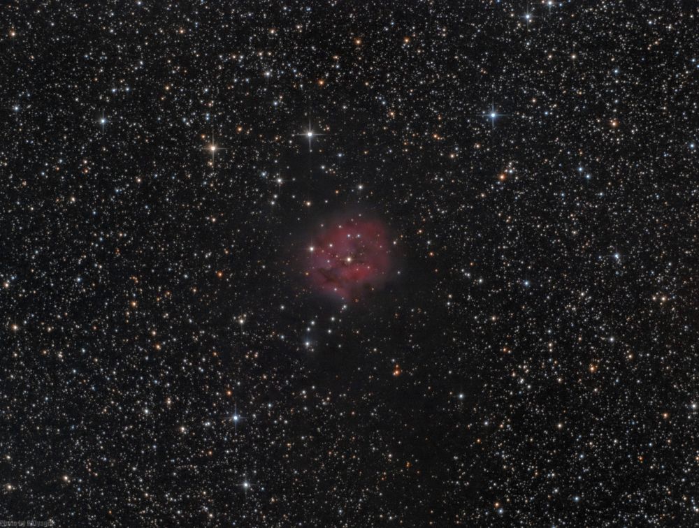 IC5146 Туманность Кокон 
