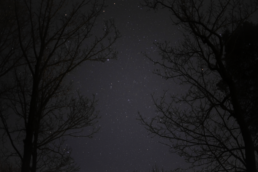 Звёзды над лесом в германии